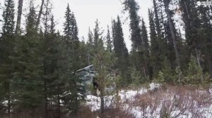 МЕСЯЦ В ТАЙГЕ: ПЕРВАЯ РЫБАЛКА И ОХОТА