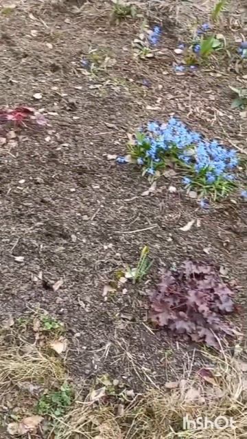 😘Если в окно -лучиком весна. смотреть онлайн