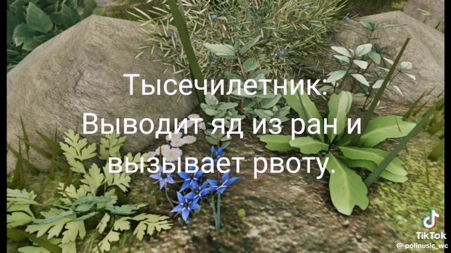 Помощь квэшником смотреть онлайн