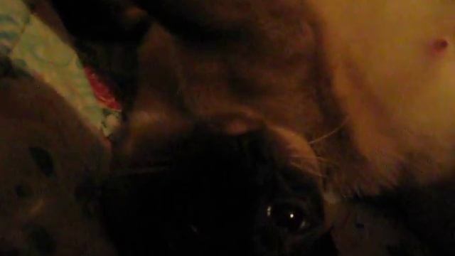 Ой! Я кажется беременна! смотреть онлайн