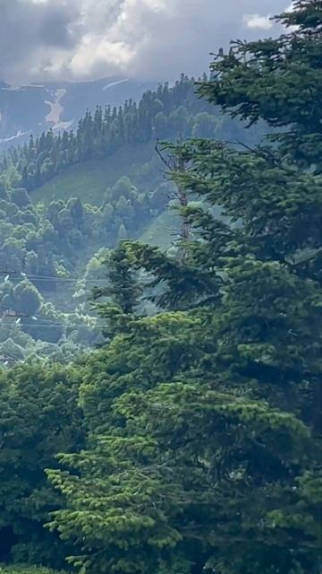 Купить землю в Адыгее смотреть онлайн