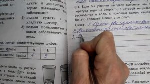 ВПР Окружающий мир, 2025 год, Вариант 6 из 25