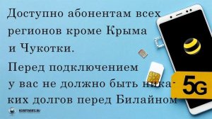 Безлимитный интернет от Билайна на Ваш номер