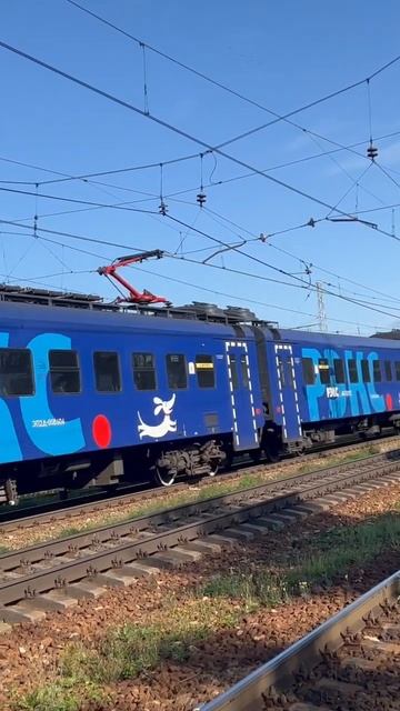 Летний архивчик. ЭП2Д рэкс #видео #мжд #поезд #train #москв? смотреть онлайн