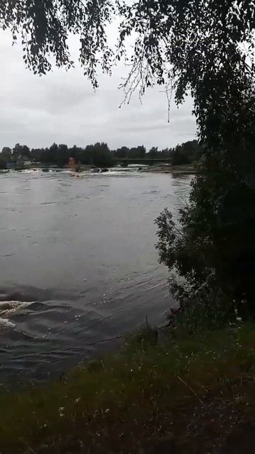 Река Выг в Беломорске #реки #залив #море #лайки