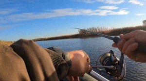 ОДИН ИЗ ЛУЧШИХ РАТТЛИНОВ НА ЩУКУ - Zipbaits Calibra 75