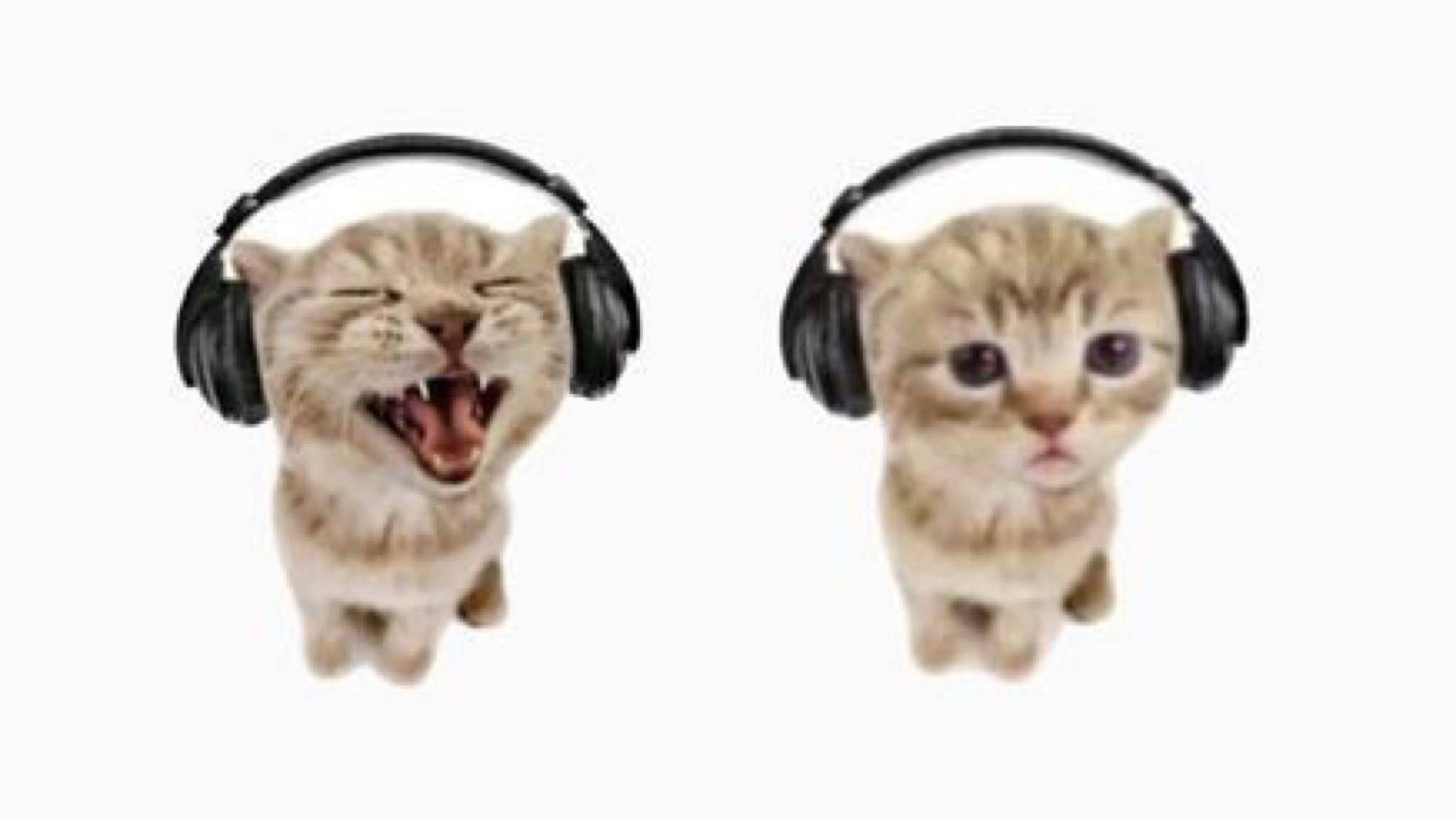 The living tombstone - Cats. смотреть онлайн