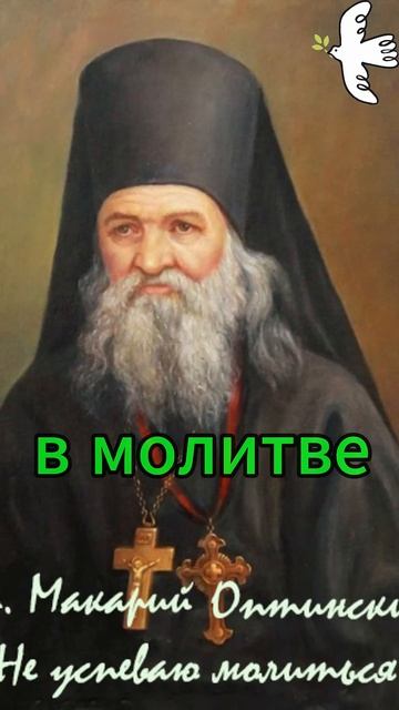 Что делать если нет времени на молитву? Преп. Макарий О смотреть онлайн