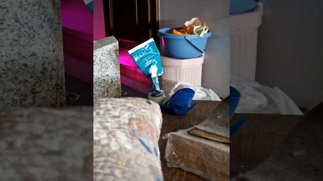 ⌛💀43.9 [🌊️105→106] я снова выпила чайник воды смотреть онлайн