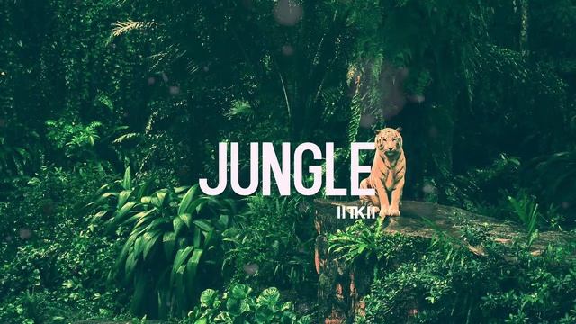 ФРИ БИТ БЕСПЛАТНЫЙ ГРУСТНЫЙ ДЛЯ РЭПА СКАЧАТЬ 2020 TYPE BEAT   KING OF JUNGLE