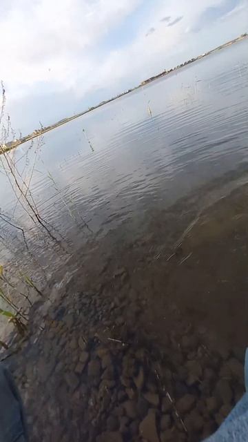 Шортс сериал 8 серия . Обзор малявочницы и живцовой поп смотреть онлайн