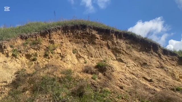 природа смотреть онлайн