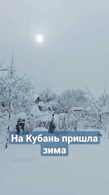 За ночь выпал снег на Кубани #shorts #тикток #погодавкрасн смотреть онлайн