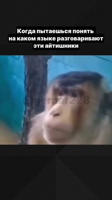 айтишники, вас также слышат со стороны? смотреть онлайн