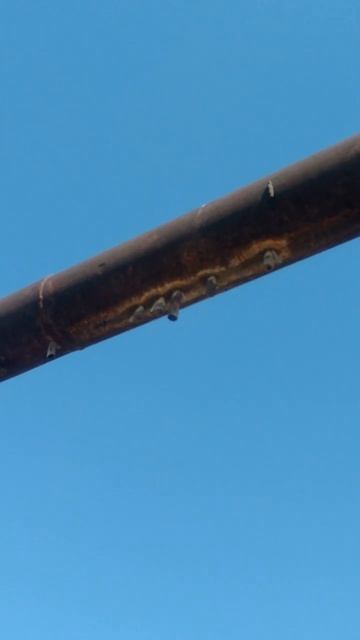 суровый Челябинский трубопровод, Челябинск Пасхаля В? смотреть онлайн