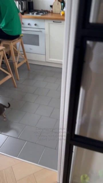 Сын ежедневно дарит мне цветы #shorts смотреть онлайн