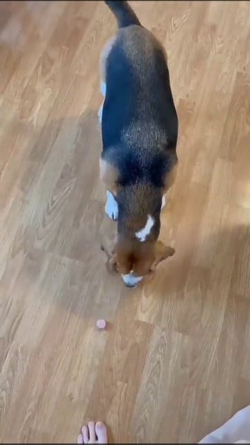 можжевельник...) смотреть онлайн