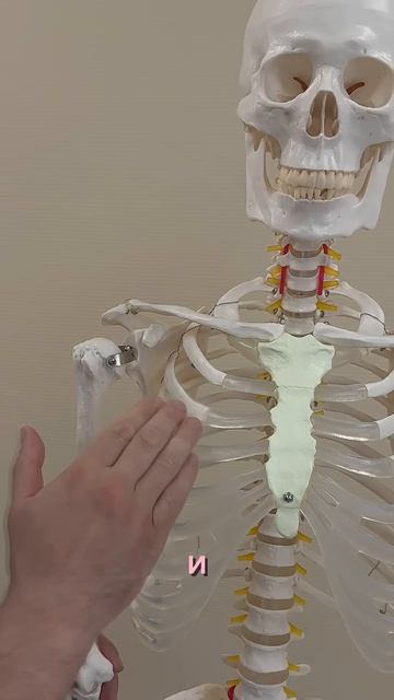 Эффективное упражнение от онемения руки смотреть онлайн