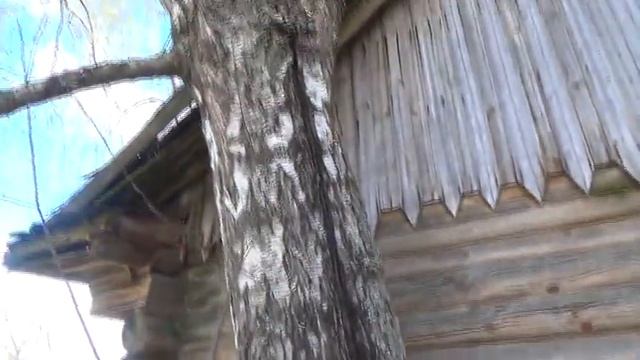 Сколько же лет этому дому? смотреть онлайн