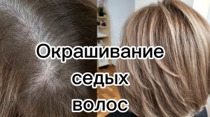 Окрашивание седых волос. Капус студио 7/0.