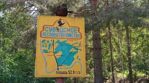 ПУТЕШЕСТВИЕ С УДОВОЛЬСТВИЕМ. КИРОВСКАЯ ОБЛАСТЬ. СОВЕТСК. ДЕНДРОЛОГИЧЕСКИЙ САД