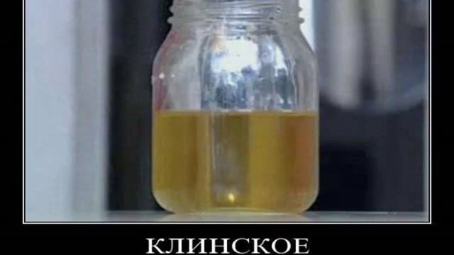 Картинки Демотиваторы Приколы 22488 смотреть онлайн