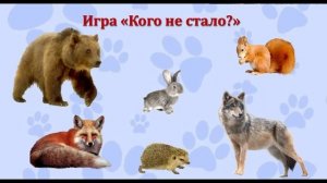 Дикие животные и их детеныши