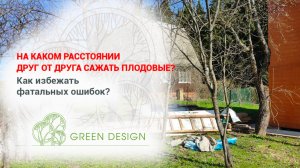 На каком расстояние друг от друга сажать плодовые?