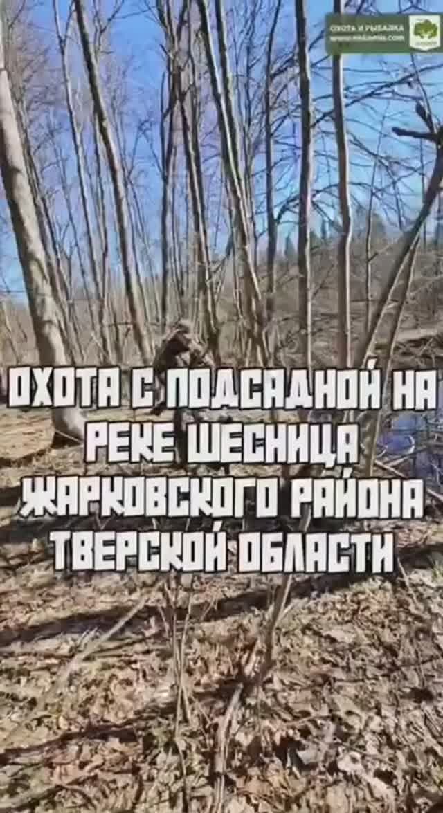 Охота с подсадной смотреть онлайн