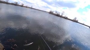 Рыбалка. Спиннинг весной. Ловля щуки на джиг.