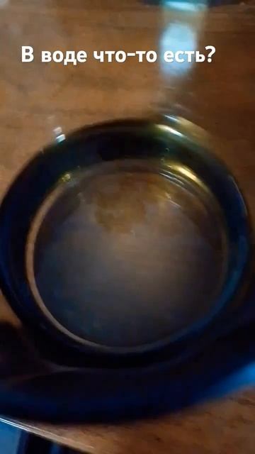 В воде есть что-то? смотреть онлайн