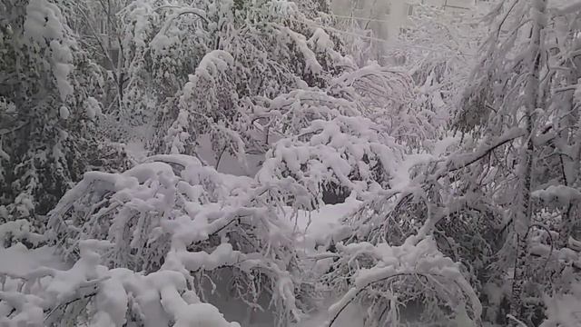 Прикол ПАДАЕТ снег в Молдове смотреть онлайн