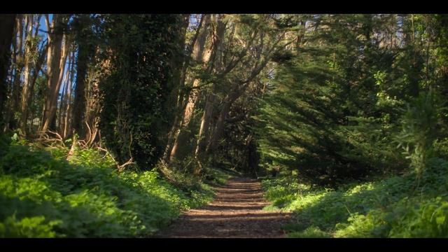 Виталик: История Ethereum