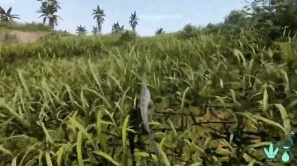 Гайд | по решению проблемы DX12