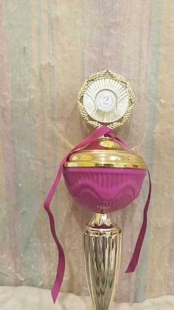 52 второе место занял Я на соревнованиях смотреть онлайн