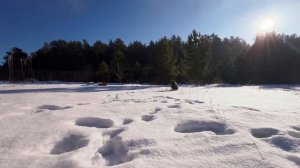 Часть 3. Держись Егор | Выпавшие зубы, зимние сапоги и вакханалия дома