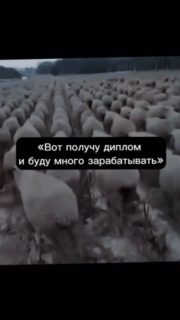 Учим делать $$$ в описании🚀👆 #деньги #заработок #успех смотреть онлайн