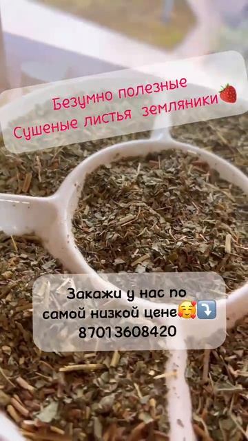 Сушёный лист земляники 2024: целебные свойства и против? смотреть онлайн