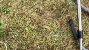 Обзор моющего пылесоса Bosch с мощностью 2100w  и как его со