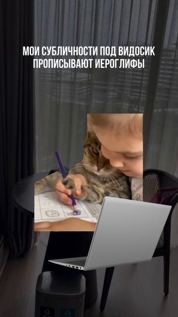 Вайб китайского в 2:00 ночи #учеба#мем#китай#азия#китайский#юмор#котики#кот#китайскийязык#иероглифы