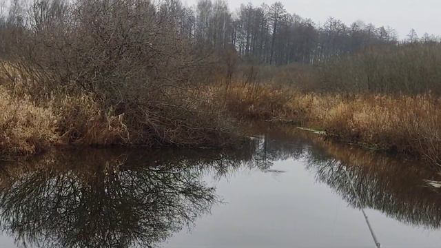 Мультипликаторная катушка из китая, можно брать смотреть онлайн