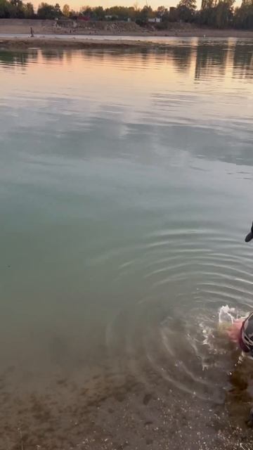 Маленькую Щуку всегда отпускаем 27 октября 2024 г 🇷🇺Р?