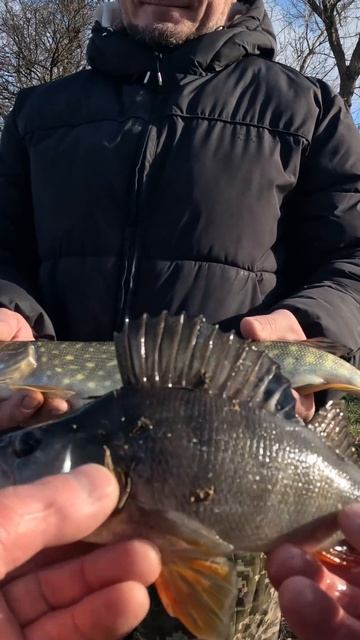 САМЫЙ лучший МОМЕНТ на РЫБАЛКЕ #fishing #рыба #рыбалка #щук смотреть онлайн