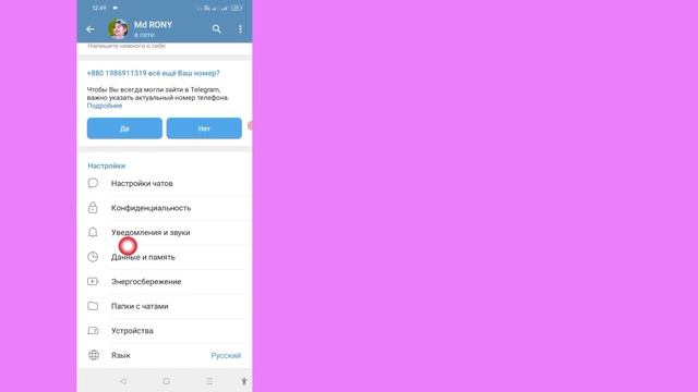 Зеленые гармонии