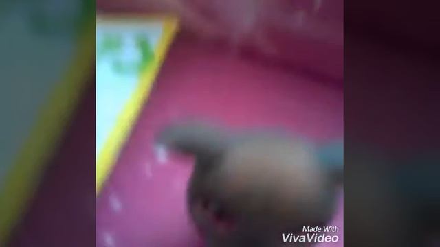 Рисунок от подпищицы😇 смотреть онлайн