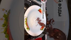 КОМПОТ ИЗ КАРКАДЭ. Каркадэ с лимоном и мятой😋