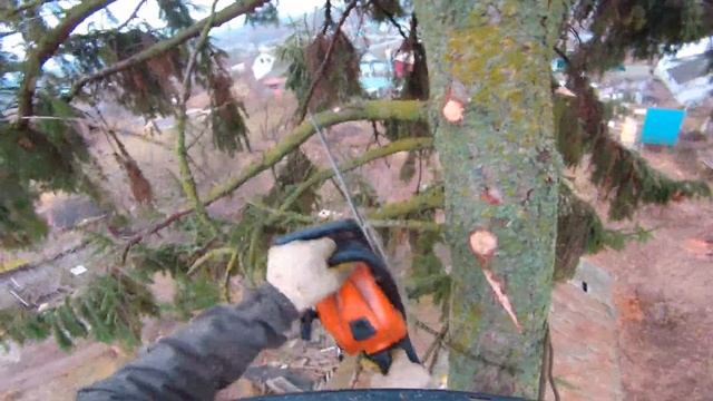 Two trees in one order. Две ели в одном заказе. смотреть онлайн