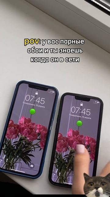 гайд на парные обои #интерьер #дизайн #мебель #мебель #? смотреть онлайн