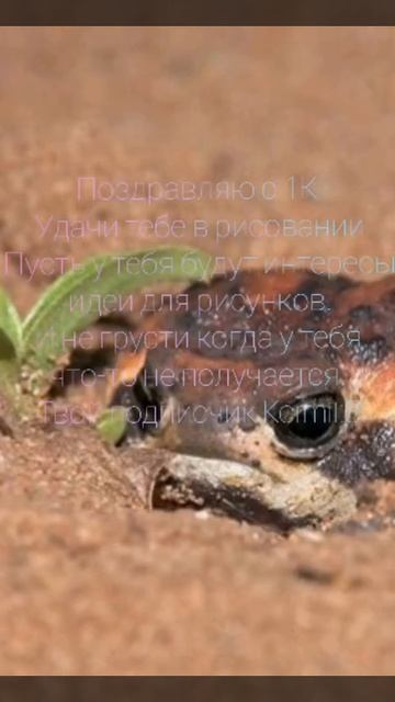 Арт для Барты бра и поздравляю тебя с 1К🐸💚 смотреть онлайн