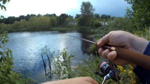 НОВЫЙ FARIO BRONZE! Новинка 2024. Ультралайт. Микроджиг. Спинн?